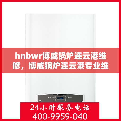 hnbwr博威锅炉连云港维修，博威锅炉连云港专业维修服务团队