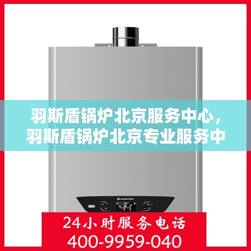 羽斯盾锅炉北京服务中心，羽斯盾锅炉北京专业服务中心，高效服务，品质保障