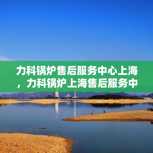力科锅炉售后服务中心上海，力科锅炉上海售后服务中心，专业维修与优质服务同步进行