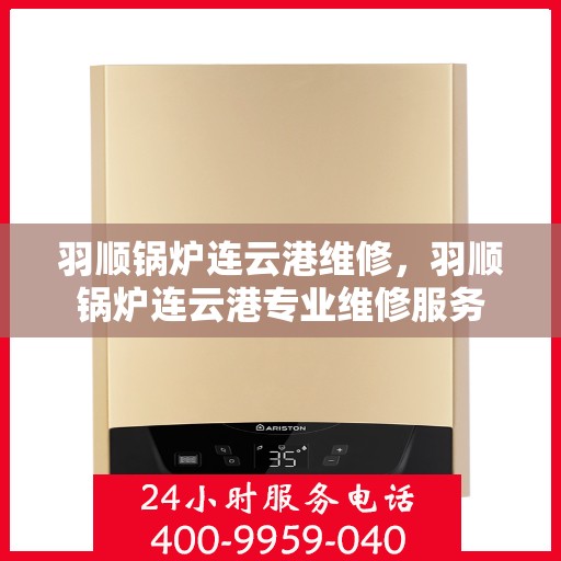 羽顺锅炉连云港维修，羽顺锅炉连云港专业维修服务